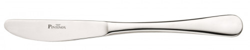 Couteau de table monobloc cranté 18,4 cm Solaris Pintinox