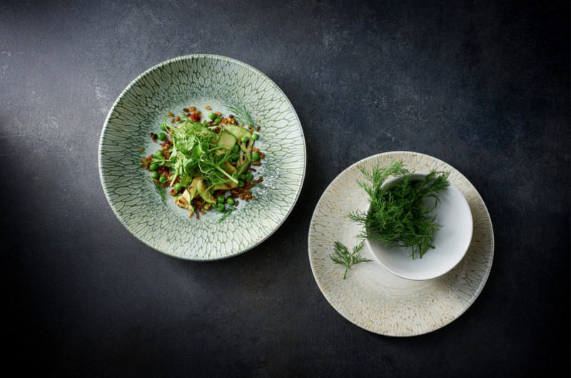 Assiette coupe vert porcelaine vitrifiée Ø 27 cm Butterfly Dudson